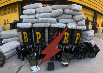 Polícia apreende 292 kg de “flor da maconha” e prende quatro suspeitos em Aracaju