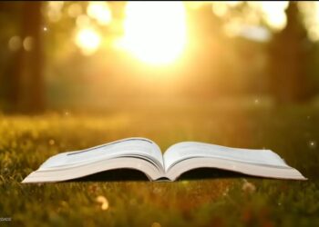 Quem zomba dos pobres mostra desprezo pelo Criador deles; quem se alegra com a desgraça não ficará sem castigo.