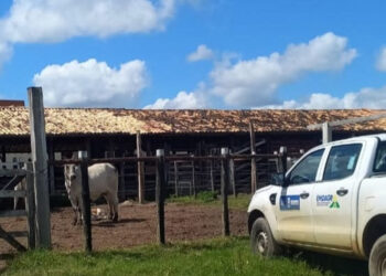 Emdagro intensifica fiscalização contra brucelose em Sergipe