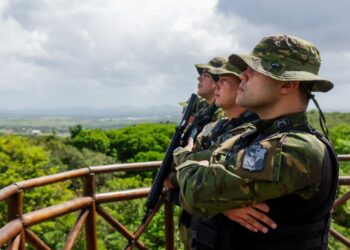 CIPAm flagra desmatamento em parque estadual de Barra dos Coqueiros
