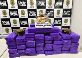 Polícia apreende mais de 30 kg de maconha em Aracaju e um homem é preso pelo COPE