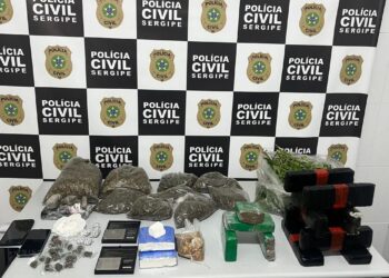 Polícia prende dupla por tráfico e destrói plantação de maconha em Capela