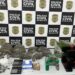 Polícia prende dupla por tráfico e destrói plantação de maconha em Capela