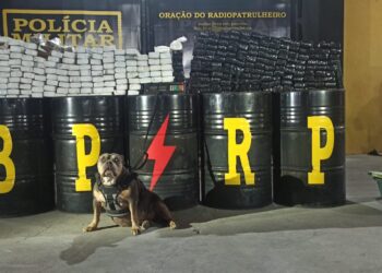 Polícia apreende mais de 200 kg de maconha em Nossa Senhora do Socorro