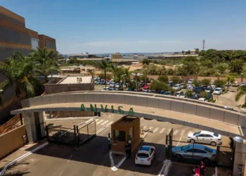 Anvisa proíbe venda de produtos de cannabis e cogumelos