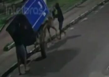 Banheiro químico é furtado em Aracaju por homens em uma carroça