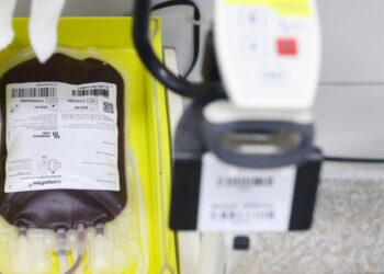 Hemose emite alerta para estoque crítico de sangue O negativo