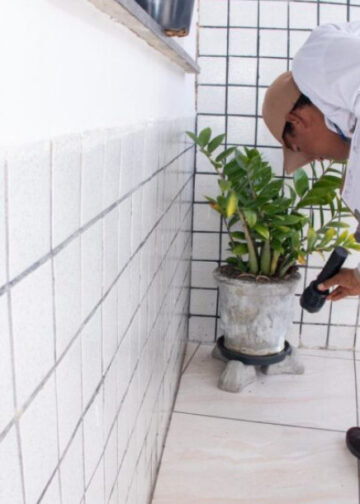 Sergipe realiza Dia D de combate à dengue neste sábado, 8