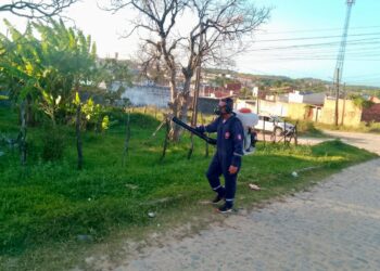 Socorro inicia segundo ciclo do carro fumacê para combater Aedes aegypti