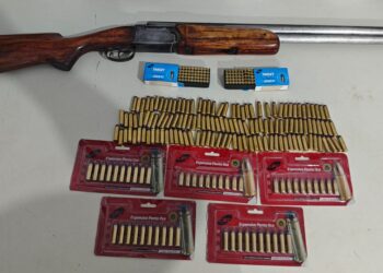 Denarc apreende arma e quase 300 munições em imóvel de São Cristóvão