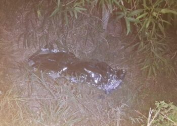 Motociclista morre após perder o controle do veículo na SE-200, em Sergipe