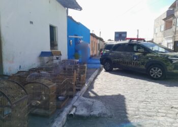 CIPAm autua pessoa por comercialização ilegal de aves silvestres em Barra dos Coqueiros