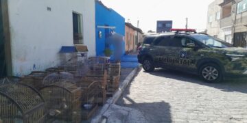 CIPAm autua pessoa por comercialização ilegal de aves silvestres em Barra dos Coqueiros