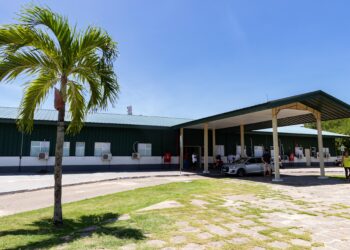 Maternidade Nossa Senhora de Lourdes registra quase 5 mil partos de alto risco em 2025