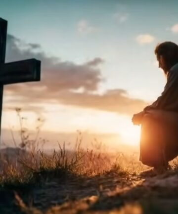 “E não nos cansemos de fazer o bem, porque a seu tempo ceifaremos, se não houvermos desfalecido.”