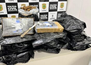 Drogas que saíram de Salvador para Aracaju são aprendidas pela polícia de Sergipe