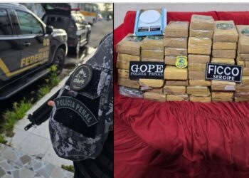 FICCO/SE: Polícia desarticula esquema de tráfico interestadual de drogas e de lavagem de dinheiro