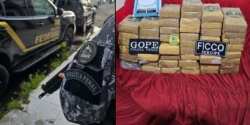 FICCO/SE: Polícia desarticula esquema de tráfico interestadual de drogas e de lavagem de dinheiro