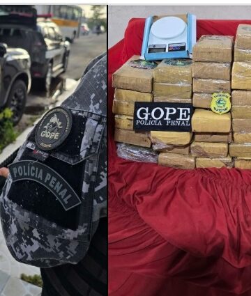FICCO/SE: Polícia desarticula esquema de tráfico interestadual de drogas e de lavagem de dinheiro