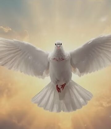 A minha alma tem sede de Deus, do Deus vivo; quando entrarei e me apresentarei ante a face de Deus?