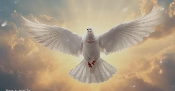 A minha alma tem sede de Deus, do Deus vivo; quando entrarei e me apresentarei ante a face de Deus?