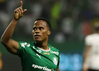 Palmeiras vence Botafogo e assume liderança do Brasileirão