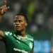 Palmeiras vence Botafogo e assume liderança do Brasileirão