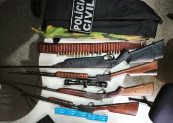 Polícia apreende armas em investigação de maus-tratos a animal em Carira