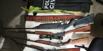 Polícia apreende armas em investigação de maus-tratos a animal em Carira