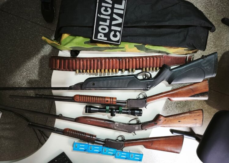 Polícia apreende armas em investigação de maus-tratos a animal em Carira