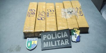 Polícia apreende quase 5 kg de drogas em transportadora em Socorro