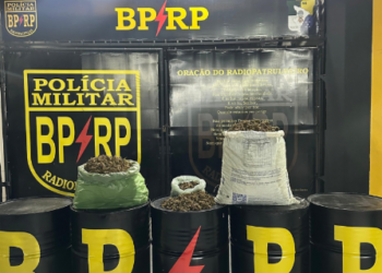 Ação conjunta apreende 16,5 kg de drogas e prende suspeito em Socorro