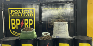 Ação conjunta apreende 16,5 kg de drogas e prende suspeito em Socorro