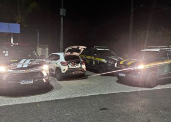 Ação policial apreende drogas e prende suspeito em Cristinápolis