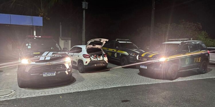 Ação policial apreende drogas e prende suspeito em Cristinápolis