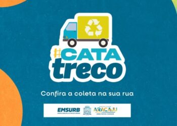Cata-treco: confira a programação semanal do serviço