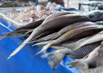 Feira de Pescados movimenta bairros de Aracaju durante a Semana Santa