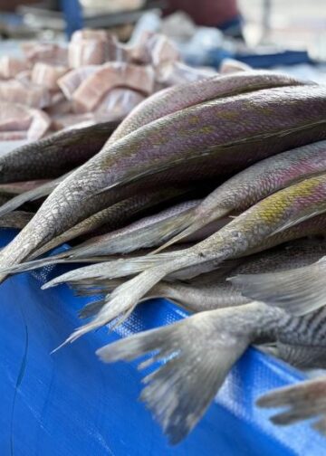 Feira de Pescados movimenta bairros de Aracaju durante a Semana Santa