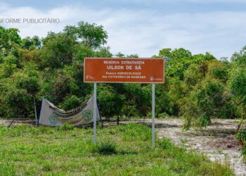 Prefeitura de Aracaju atualiza decreto que regulamenta a Reserva Extrativista das Mangabeiras