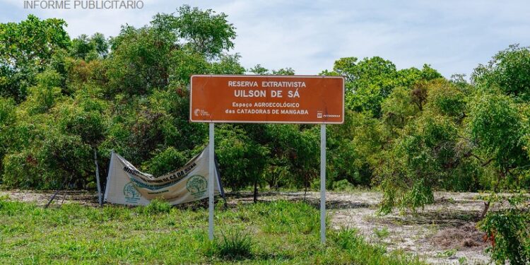 Prefeitura de Aracaju atualiza decreto que regulamenta a Reserva Extrativista das Mangabeiras