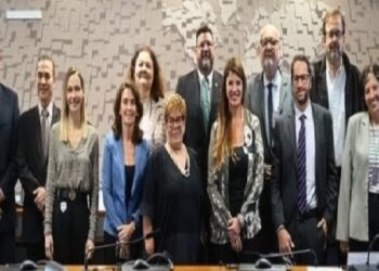 Representantes da FITERT no CCS debatem a regulamentação da Lei 15.325/26