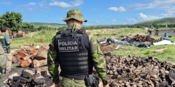 Operação Mandakaru intensifica combate ao desmatamento em Sergipe