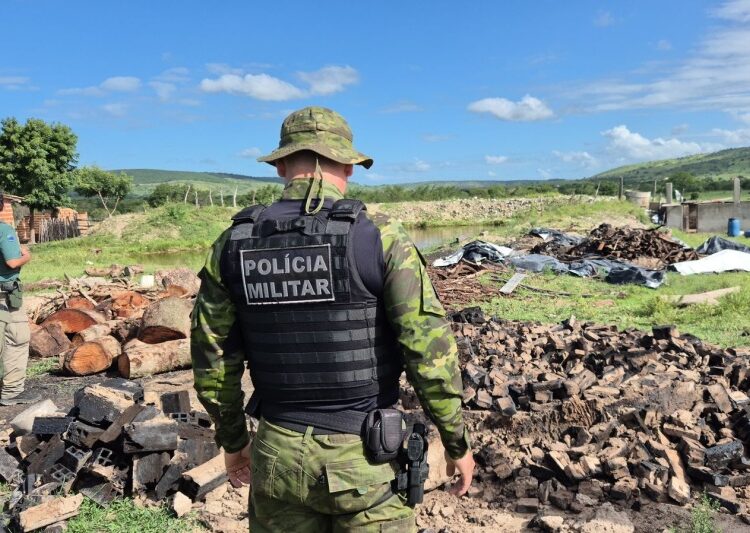 Operação Mandakaru intensifica combate ao desmatamento em Sergipe