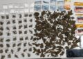 Polícia desarticula ponto de tráfico e prende suspeito em flagrante em Lagarto