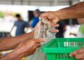 2º Festival do Camarão fortalece produção e reúne produtores em Socorro