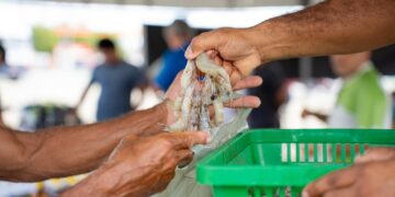 2º Festival do Camarão fortalece produção e reúne produtores em Socorro