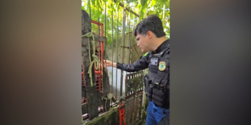 Polícia fecha canil clandestino e resgata 22 cães em Estância