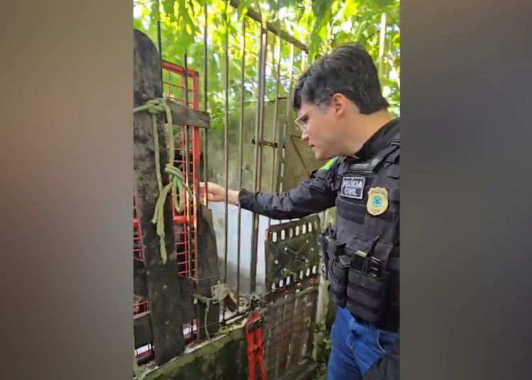 Polícia fecha canil clandestino e resgata 22 cães em Estância