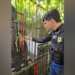Polícia fecha canil clandestino e resgata 22 cães em Estância