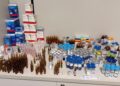 Técnica de enfermagem é presa suspeita de desviar medicamentos da rede pública em Sergipe